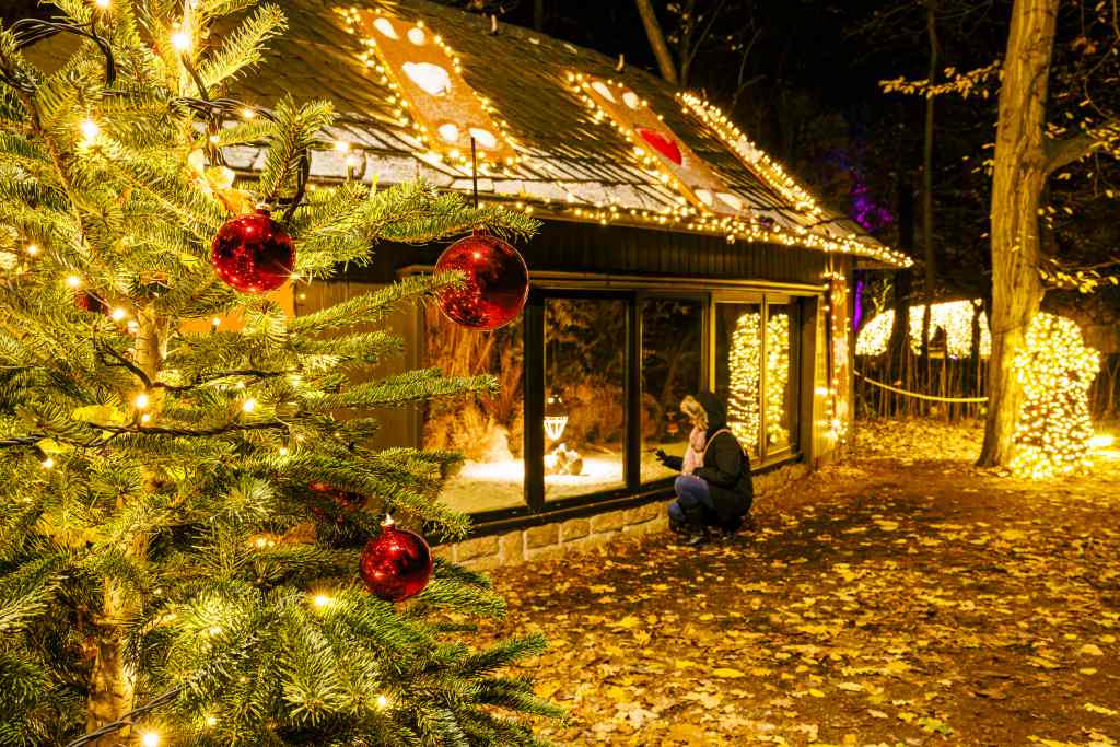 Weihnachtliche beleuchtetes Gehege